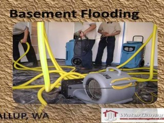 Basement Flooding Puyallup