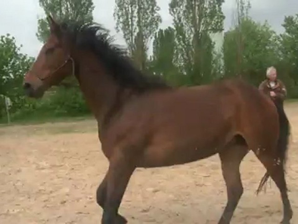 11.05.2012.e.tliloa