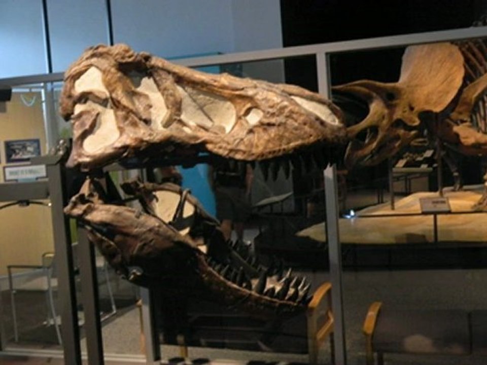 science museum