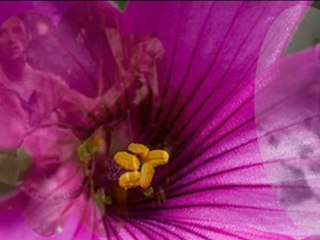 P'TITE FLEUR FANEE (folklore de La REUNION)
