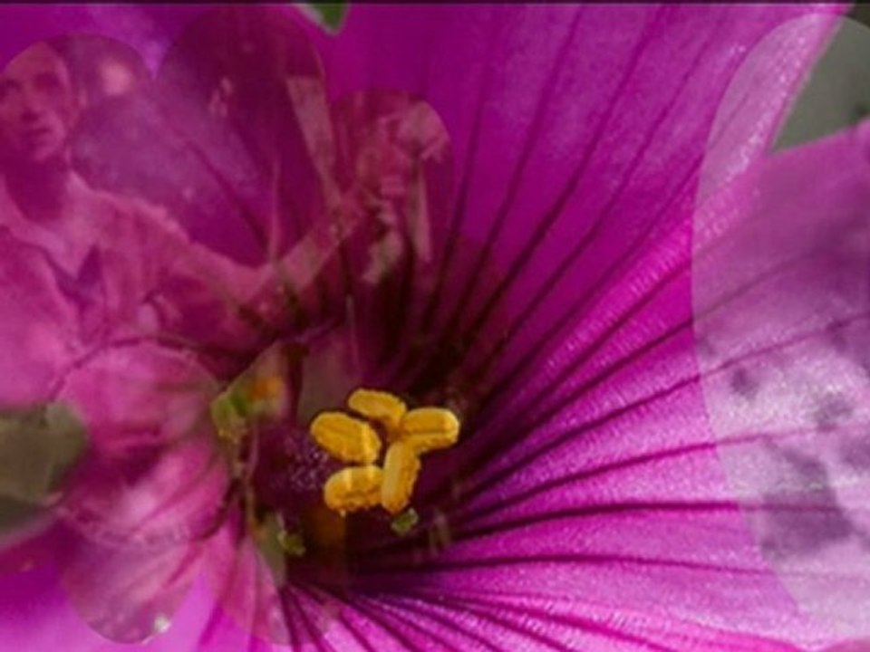 P'TITE FLEUR FANEE (folklore de La REUNION)