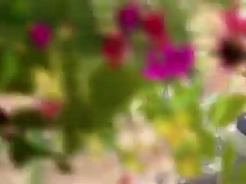 Atelier Ayesha : Alchemist of Twilight Ground (PS3) - Premier trailer