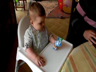 Lorystontontata 300412