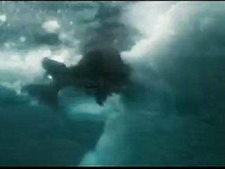 Arctic Tale - Clip - Practicing somersaults