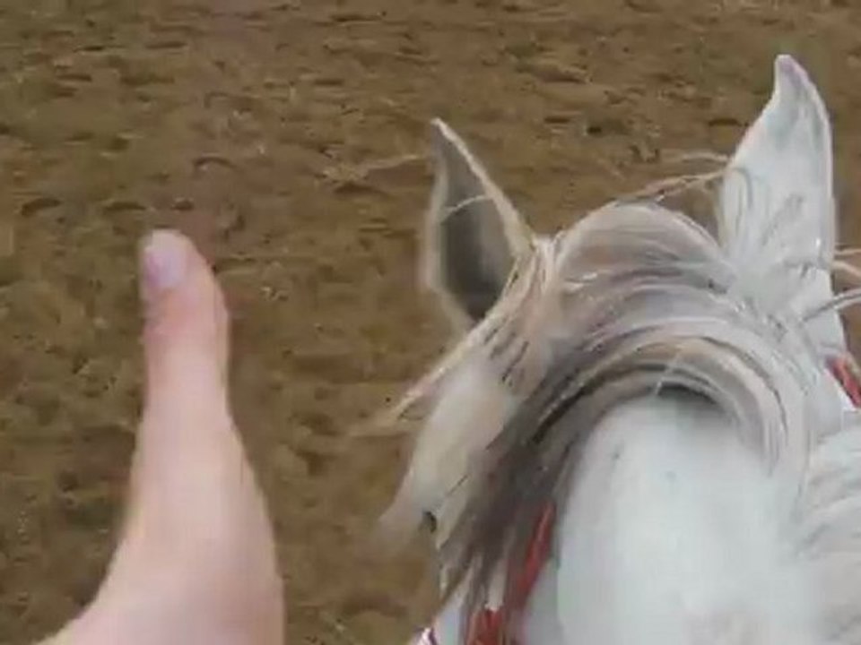 Nazouille Secoue :P