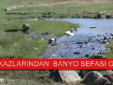 Ardahan Kars Iğdır kazları kaz banyosu @ MEHMET ALİ ARSLAN Videolar