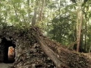 Encuentran en Guatemala el más antiguo de los calendarios astronómicos mayas conocidos