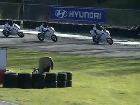 Pagani productions@sobw brommer race 25-3-2012 berghem circuit part 4