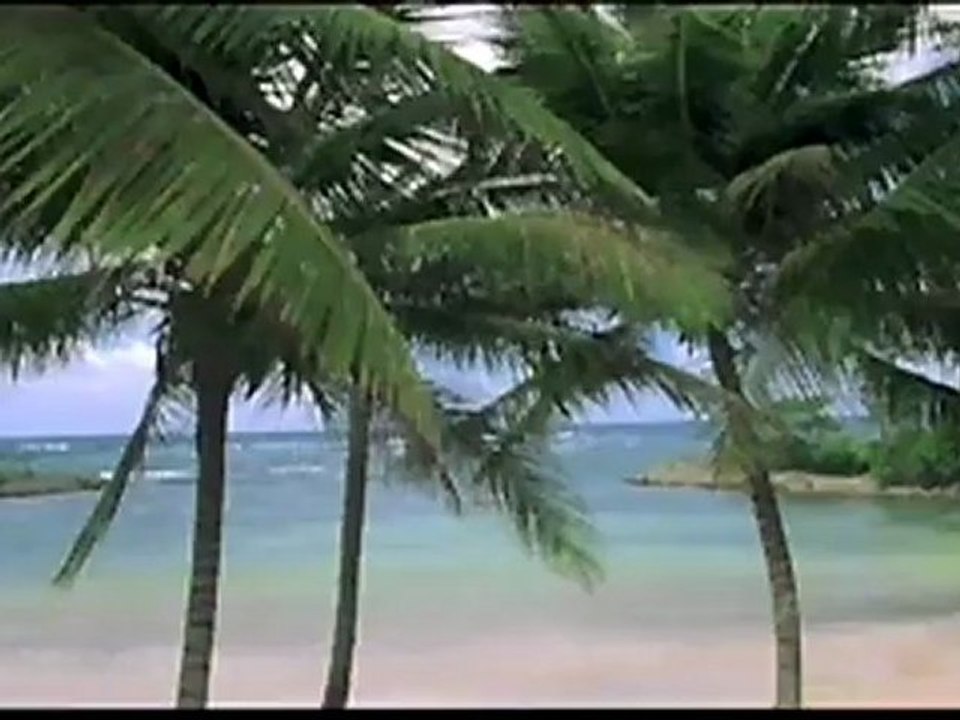 Lovewrecked - DVD extra - Q&A with Amanda Bynes (extract)