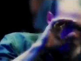 The Condemned - DVD Trailer