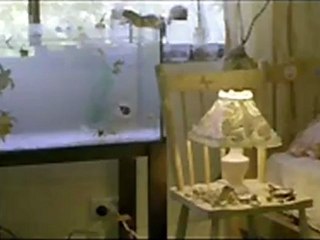 Jindabyne - Clip - What are you up to?