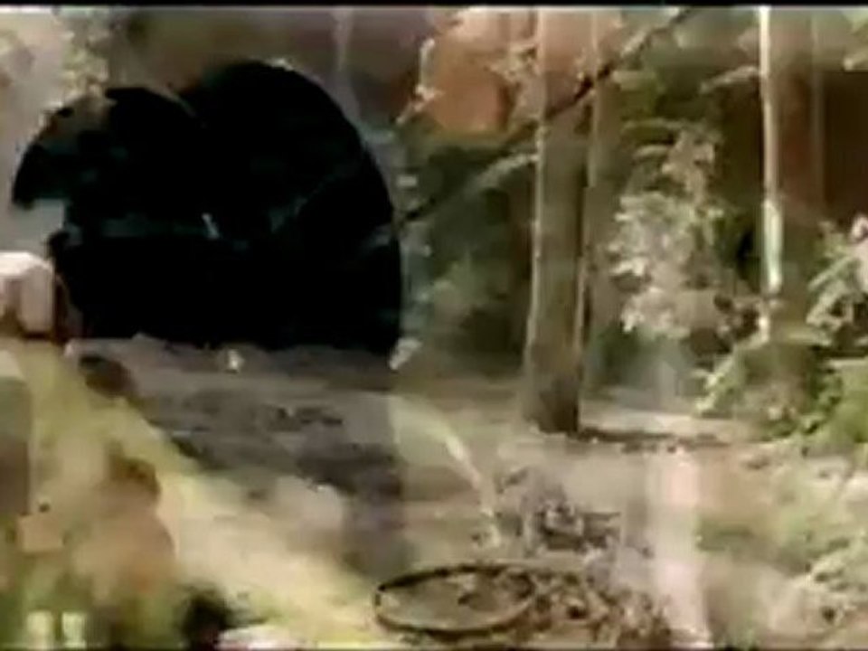 Nim's Island - Clip - Prepare for attack