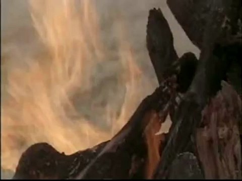 Lost: Season 2 - Part 2 - DVD Deleted scene - I miss