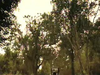 Idlewild - Clip - Hey Rooster!