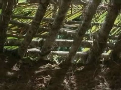 Lost: Season 2 - Part 1 - DVD Deleted scene - Sawyers visitor