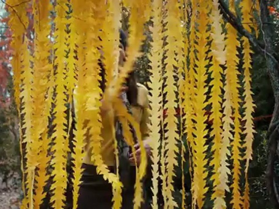 The Odd Life of Timothy Green - Trailer (Englisch)