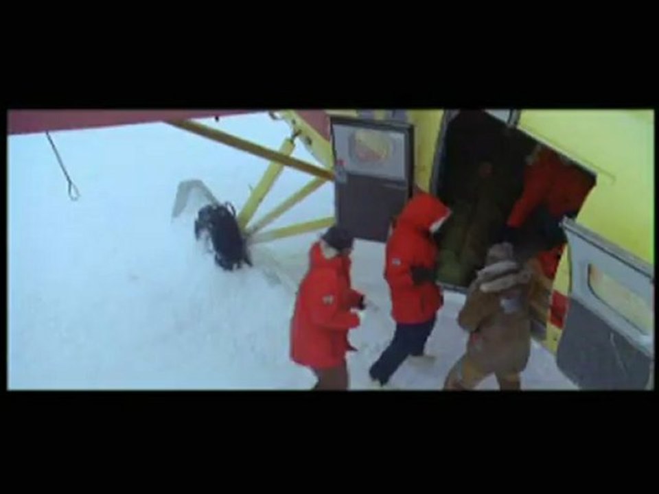 Eight Below