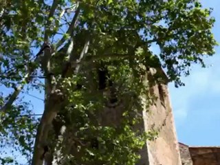 tvcapu-compostelle st guilhem le desert