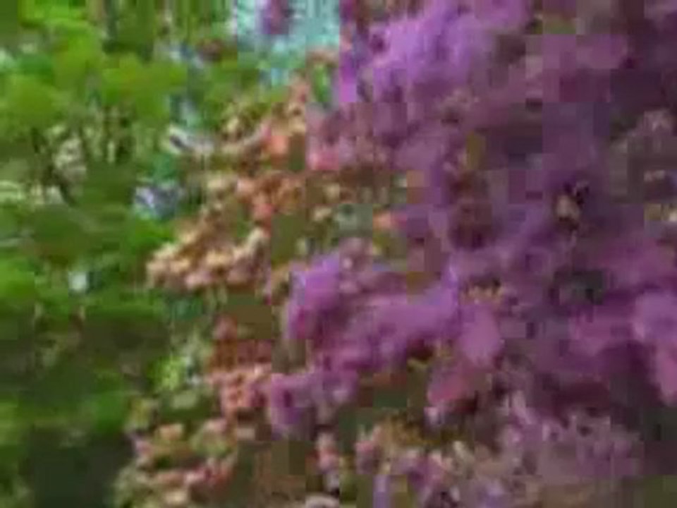 Üç Aylar ve Mübarek Geceler Belgesel izle seyret belgesel