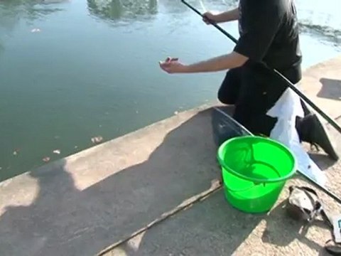 Sports Loisirs : Décrocher un poisson et le remettre à l'eau