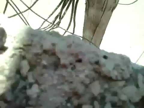 فري برس درعا حوران مدينة الحارة اطلاق نار نصر من الله وفتح قريب11 5 2012 ج2 Daraa