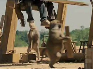 Evan Almighty - review