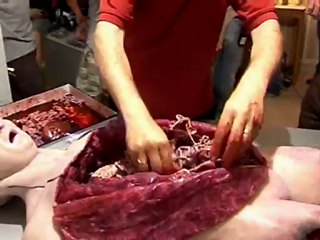 Alien Autopsy - Exclusive press conference highlights