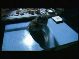 Night Watch - Clip - Dont Turn Around