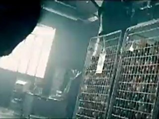 Unleashed - Clip - Dog collar