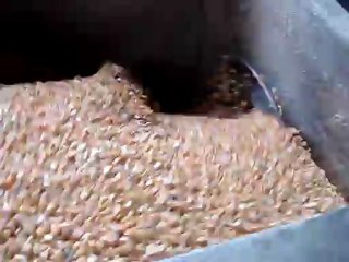 Channa Dal Drying Plant