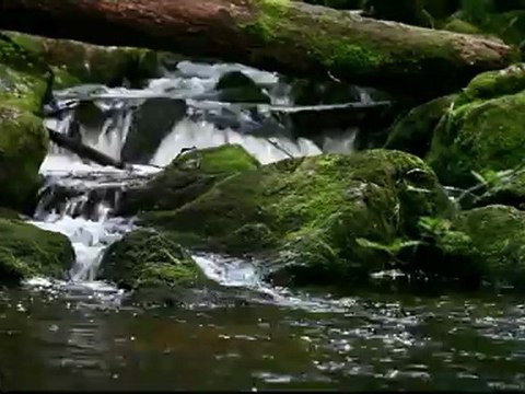 cascade Val d'Ajol Test canon eos 5d Mark II + canon 24/105 série L + télécommande canon + filtre nd8
