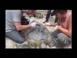 Rénatura-Pose balise argos 2012