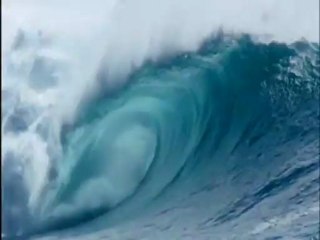 Deep Blue - Clip - Dolphins