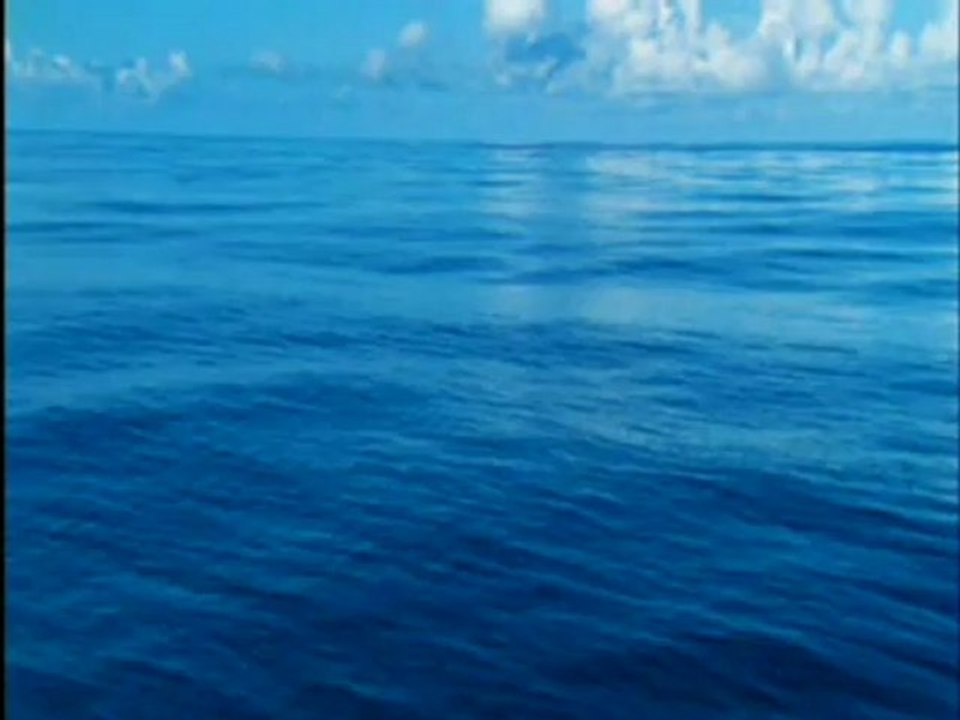 Deep Blue - Clip - Open Ocean