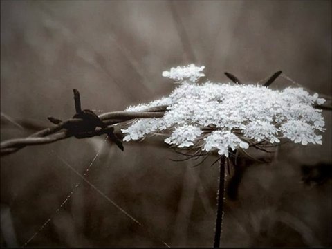 Grup Yorum Beni Sana Sımsıkı Sarılı Görenler Olmuş