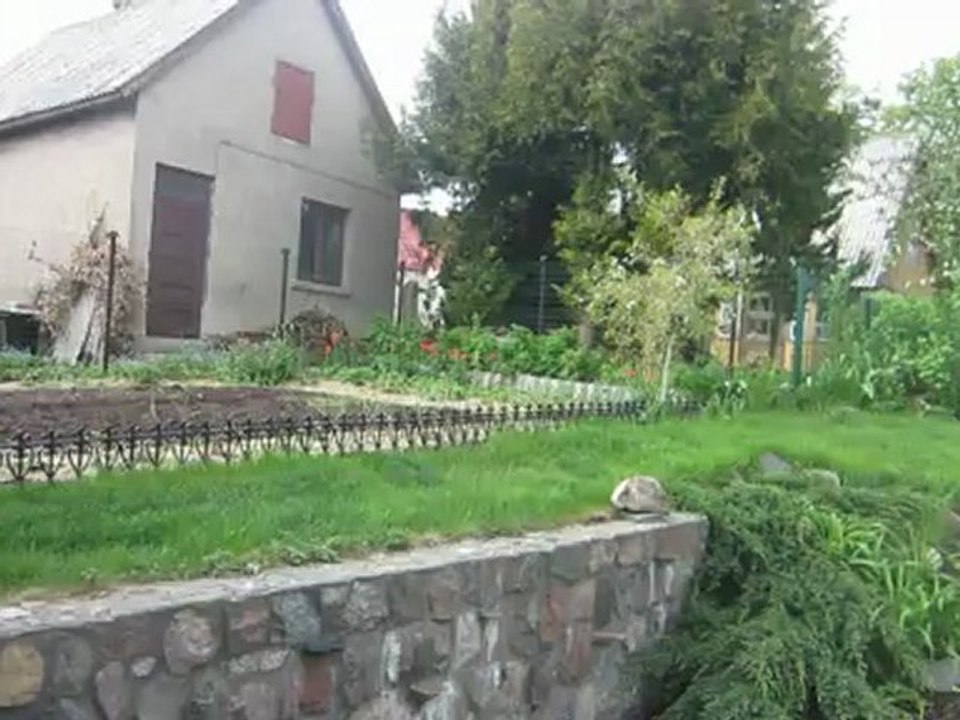 primavera (2)