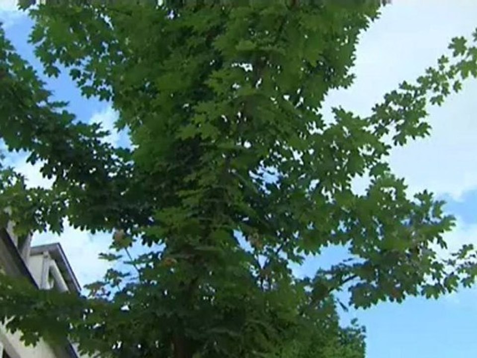 Des quartiers transformés