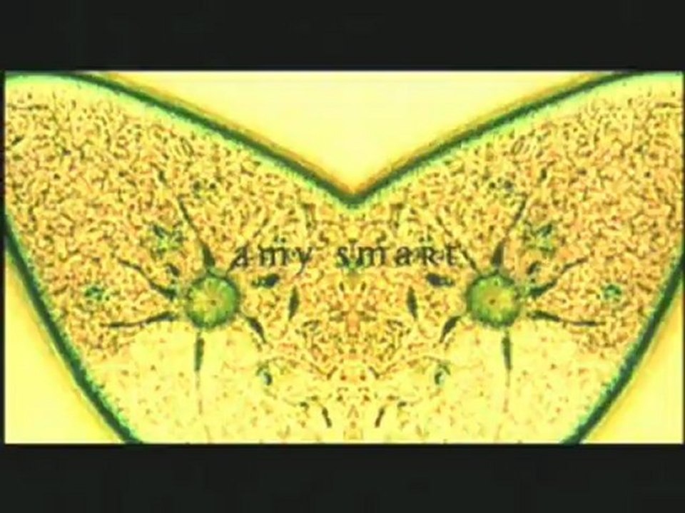 The Butterfly Effect
