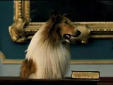 Lassie - Clip - Surprise witness