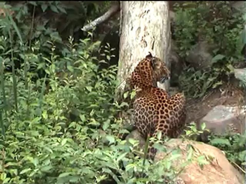 zoo en France