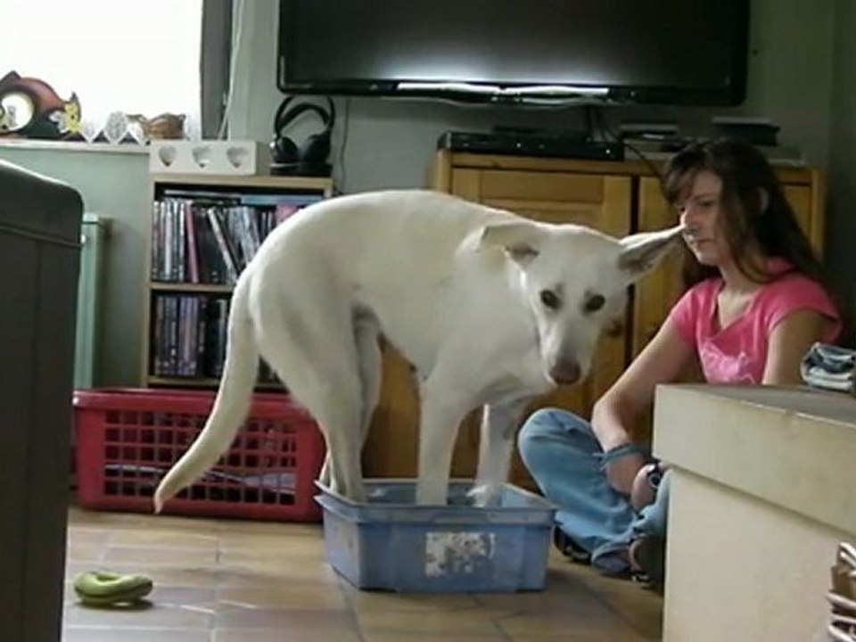 shapping
