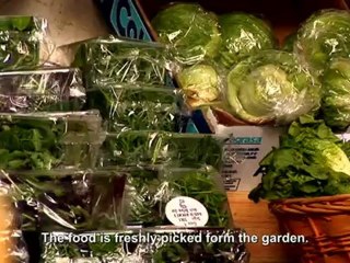 Coolhunting Experience Londres