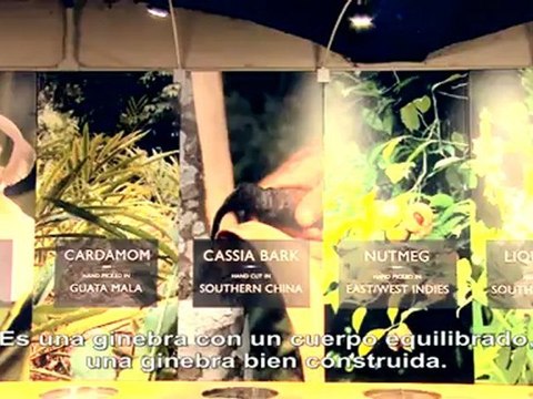 Gin Lovers: Plymouth Gin