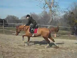 Uranie du Solin, 28 février 2012