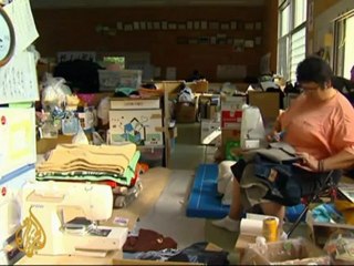 Japanese watchdog demands radiation inquiry