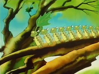 Vizipok csodapok S02E06