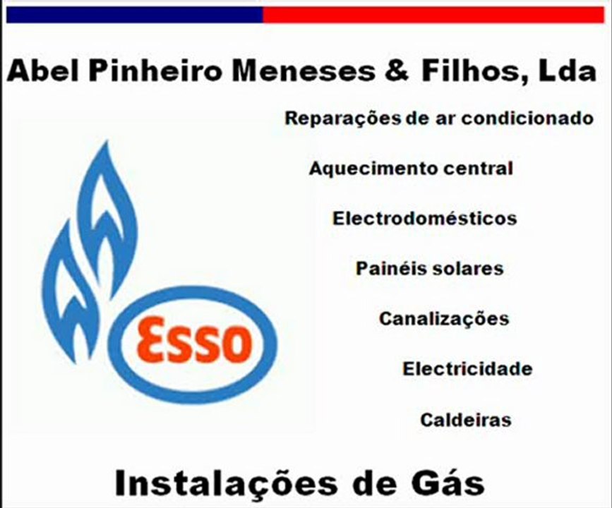 ABEL PINHEIRO MENESES & FILHOS LDA