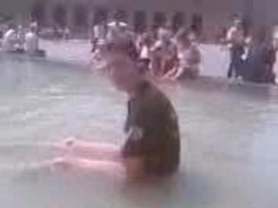 fontaine du louvre