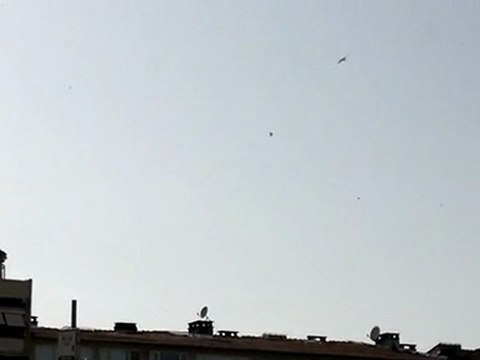 OYUN GÜVERCİNLERİ TAKLACI SEFER KUŞU FERDİ BAYRAK 05354829474