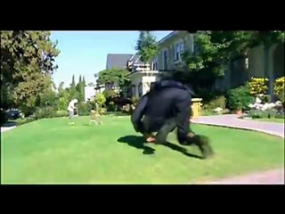 The Shaggy Dog - Interview with Tim Allen and Kristin Davis